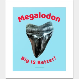 Megalodon Collectors - Big Is Better! Posters and Art